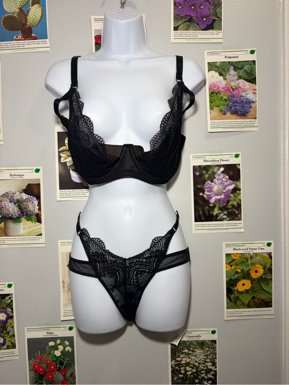 Adore Me Black Lace Underwire Bra & Strappy Lace Bikini